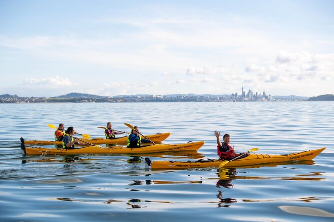 Sunset kayak tour to Rangitoto Island - Protecting Hauraki Gulf Wildlife: Clean Gear Is Part of the Trip