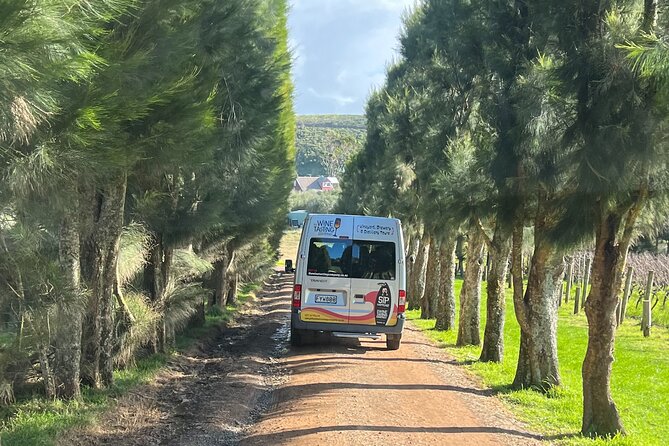 The Boutique Experience: Waiheke Best Cellar Tour (11 guests max) - The 10:40 am start at Matiatia Wharf and how the day flows