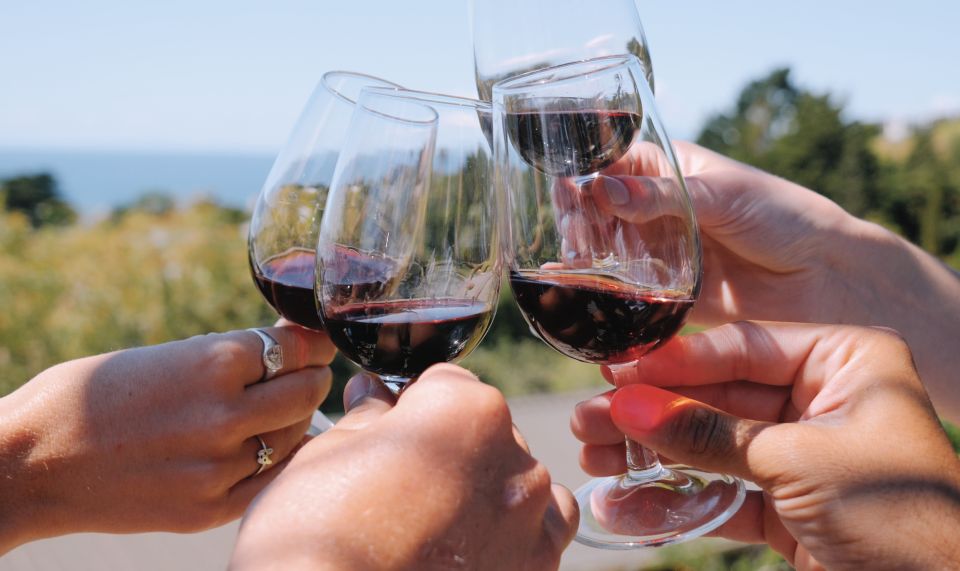 The Boutique Experience: Waiheke Island Best Cellar Tour - The drive between stops: views, local stories, and why it matters