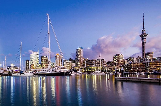 The City Lights: a unique electric bike tour of Auckland by night! - Queens Wharf neon stops and the Viaduct skyline moment