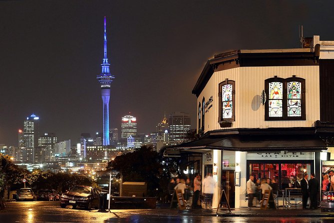 The City Lights: a unique electric bike tour of Auckland by night! - Te Ara I Whiti / The Lightpath: the pink night-cycleway highlight