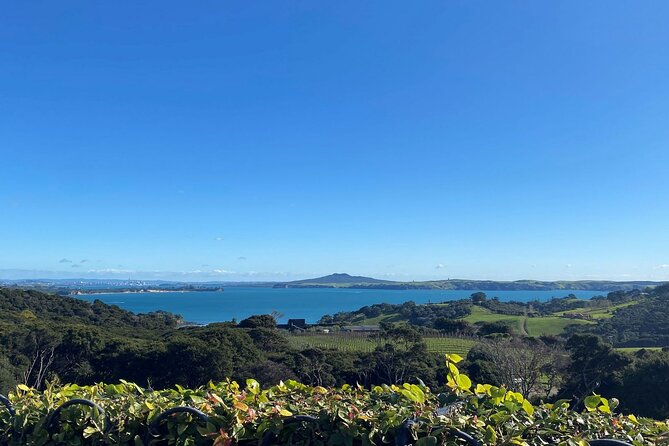 The Essence of Waiheke Wine Tour - Stop 1 at Ananda Tours: island orientation before the tastings