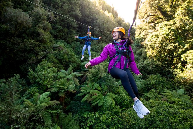 The Ultimate Canopy Zipline Experience Private Tour From Auckland - Key points to know before you go