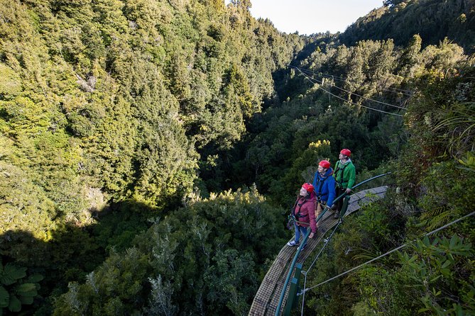 The Ultimate Canopy Zipline Experience Private Tour From Auckland - Auckland to Rotorua: the 12-hour day logistics that matter