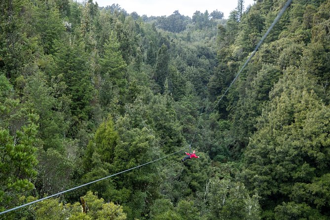 The Ultimate Canopy Zipline Experience Private Tour From Auckland - The stops on the road: coffee, Tirau corrugated-iron icons, and how they fit
