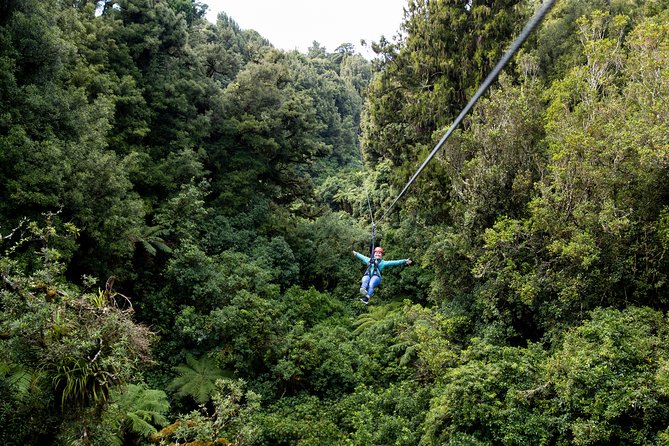 The Ultimate Canopy Zipline Experience Private Tour From Auckland - Photos, lunch, and small-group privacy: the value you feel later