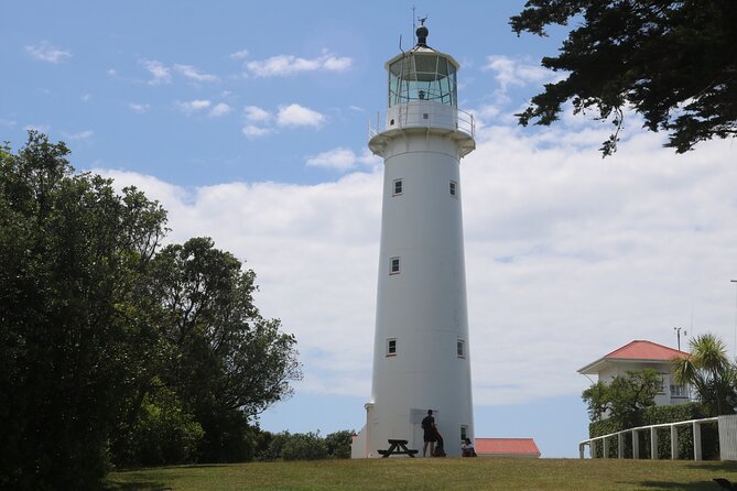 Tiritiri Matangi Island Discovery - from Auckland - Price and value: what you’re paying for at $68.26