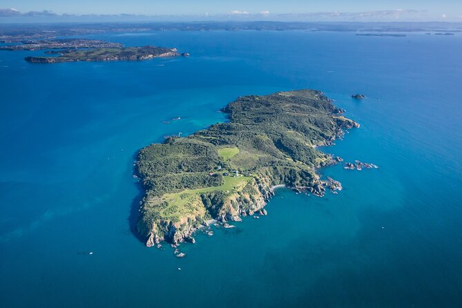 Tiritiri Matangi Island Discovery - from Auckland - Why this island is special: pest-free conservation that you can see