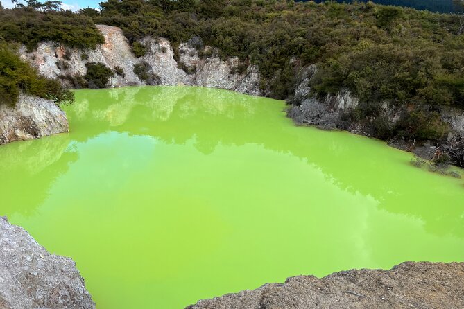 TRIPLE DEAL Wai-O-Tapu, Redwood Forest & Blue Springs Ex Auckland - Key highlights to know before you go