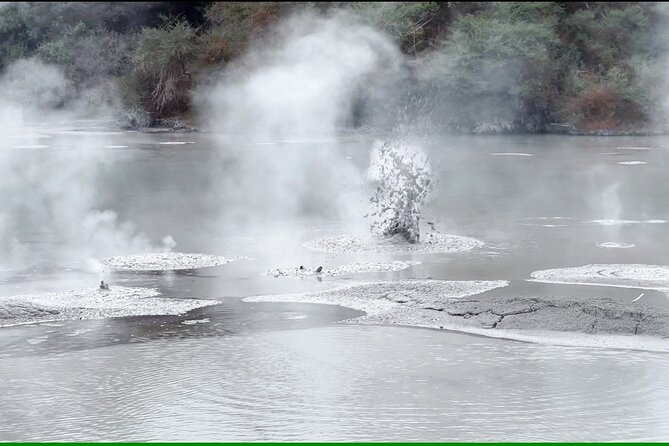 TRIPLE DEAL Wai-O-Tapu, Redwood Forest & Blue Springs Ex Auckland - Price and value: is $204.17 fair for three regions plus admissions?