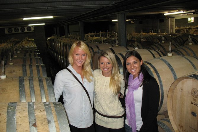Vineyards Honey and Black Sand Beaches from Auckland - How This Auckland Wine + Black-Sand Day Fits Together