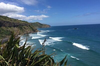 Vineyards Honey and Black Sand Beaches from Auckland - Westbrook Winery in the Ararimu Valley: Estate Tasting With a Maker’s Story