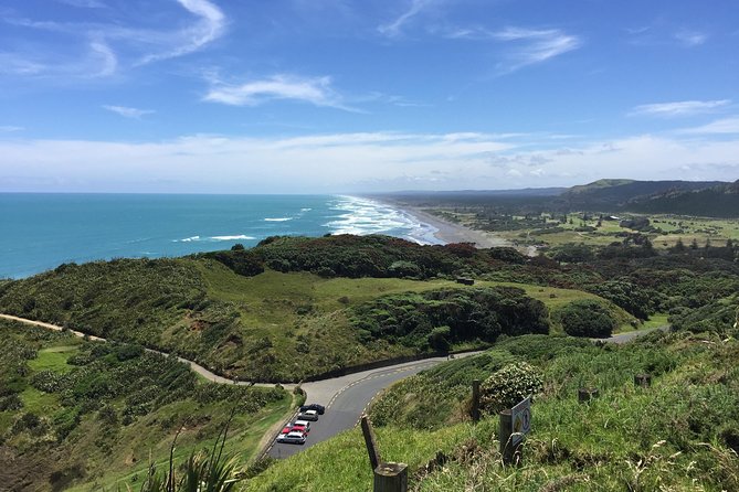 Vineyards Honey and Black Sand Beaches from Auckland - Who This Tour Suits Best (And Who Should Skip It)