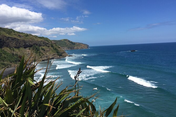 Vineyards Honey and Black Sand Beaches from Auckland - Westbrook Winery in the Ararimu Valley: Estate Tasting With a Maker’s Story