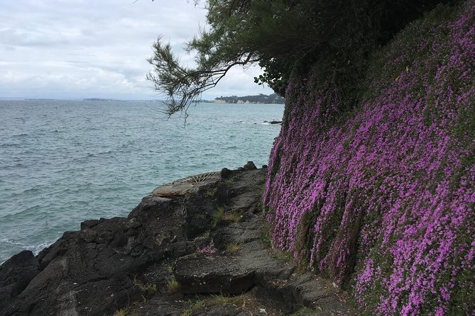 Volcanoes, Coasts, and Secret Spots Afternoon Tour in Auckland - North Head Historic Reserve and the Underground Tunnels