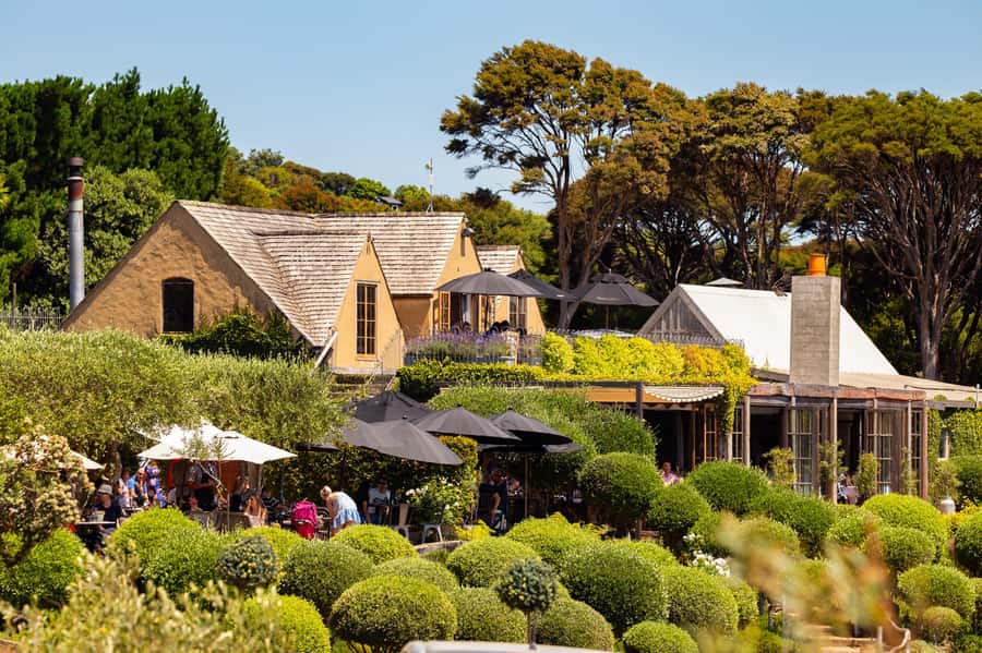 Waiheke Island: Afternoon Wine Tour with Oceanfront Lunch - Should You Book This Waiheke Afternoon Wine Tour?