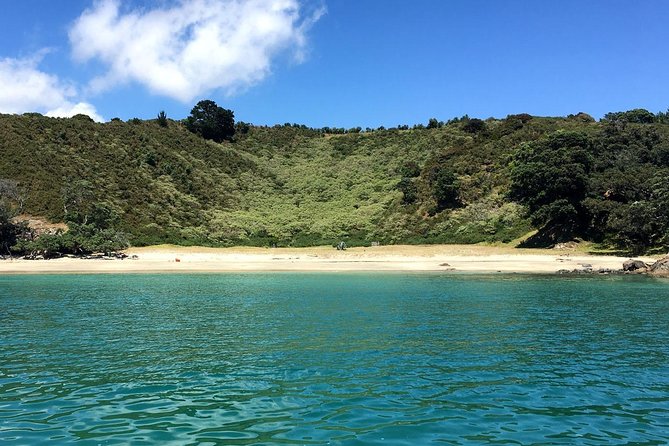 Waiheke Island Bush & Beach Walk - Key takeaways before you go