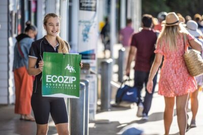 Waiheke Island Day Tour: Ziplining, Wine Tasting & Vineyard Lunch - Ecozip Adventures: Three Zip Lines, Harness Checks, and a Forest Walk
