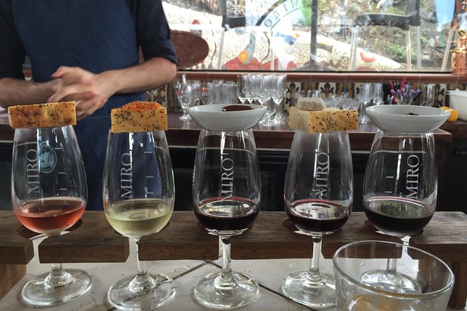Waiheke Island Day Tour: Ziplining, Wine Tasting & Vineyard Lunch - Getting From Auckland to Waiheke: Timing Matters More Than You Think