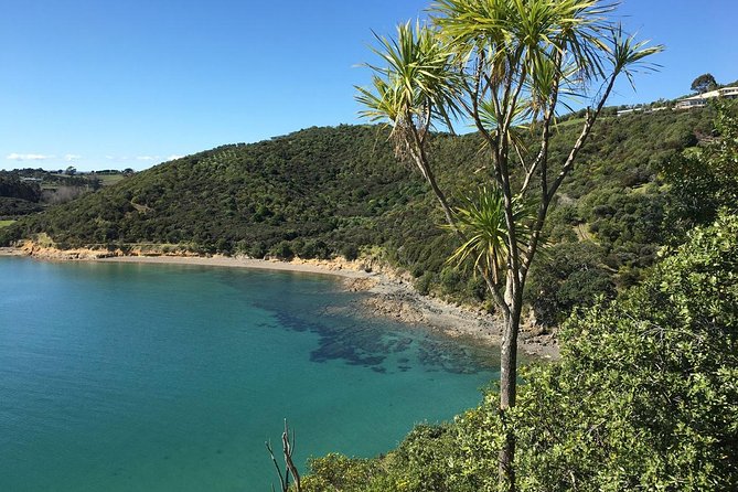 Waiheke Island Double Headland Coastal Walk - Price and value: what you’re paying $260.64 for