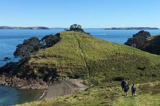 Waiheke Island Double Headland Coastal Walk - Timing, meeting point, and how the day runs without stress