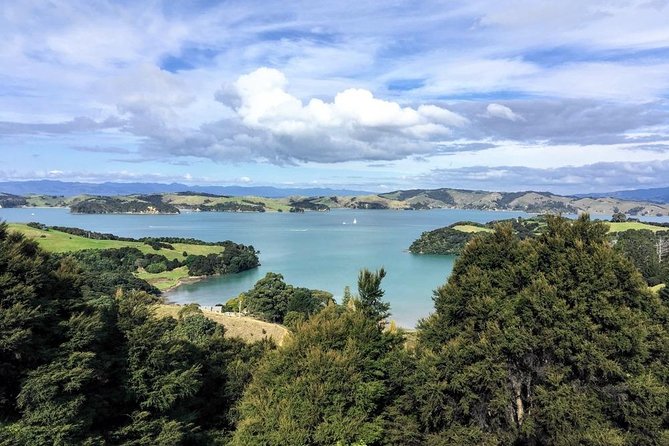 Waiheke Island Experience Tour - Why a private 4WD day beats the big-tour scramble