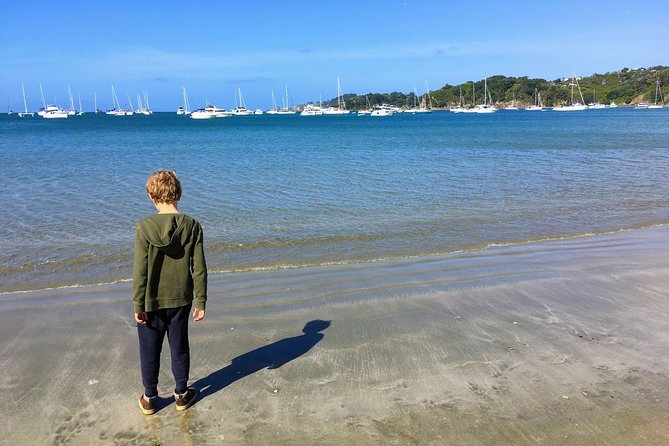 Waiheke Island Experience Tour - Stop 1: a quick Waiheke orientation to set the tone