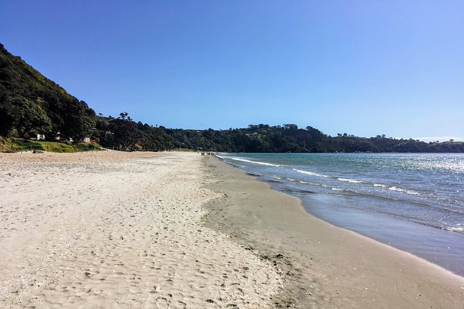 Waiheke Island Experience Tour - Stop 2: the drive through Oneroa, plus a Palm Beach pause