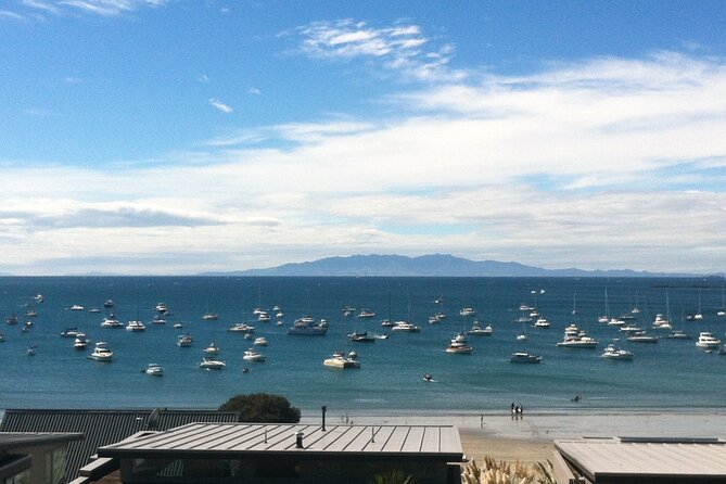 Waiheke Island Half Day Scenic Wine and Lunch - The Final Bay-View Stop and How You’ll End the Afternoon
