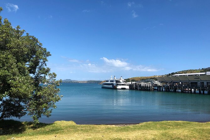 Waiheke Island Half Day Scenic Wine and Lunch - Who Should Book This Tour (and Who Might Not)