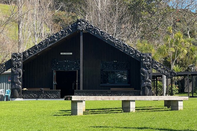 Waiheke Island History and Heritage Tour - Native bush walk: medicinal plants and native birds