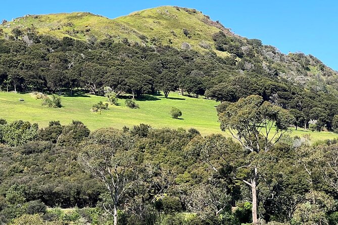 Waiheke Island History and Heritage Tour - Lunch at a local café, plus optional tasting stops