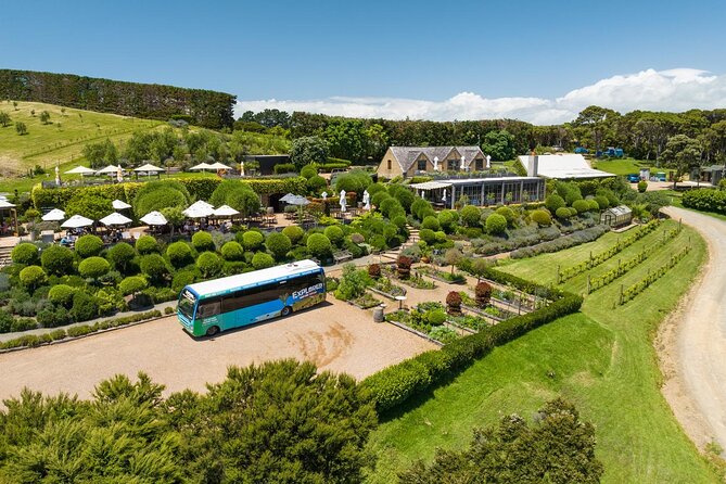 Waiheke Island Hop-On Hop-Off Explorer Bus - Matiatia ferry terminal: your start button for Waiheke