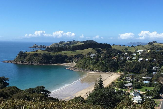 Waiheke Island Hop-On Hop-Off Explorer Bus - Western-side focus: great for first-timers, limiting for niche stops
