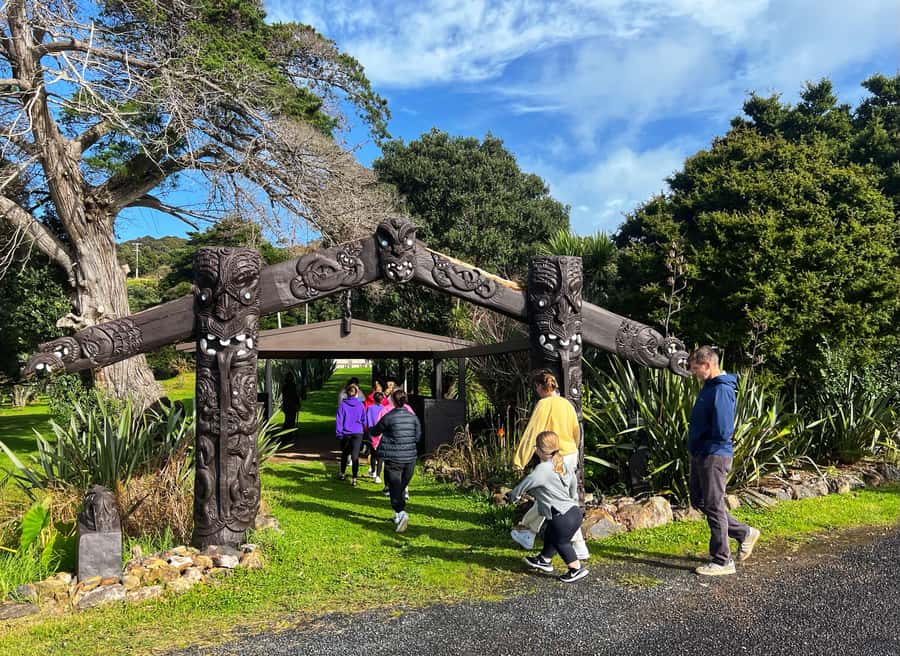 Waiheke Island: Maori Cultural Tour + Lunch + Wine - Key highlights you’ll actually feel
