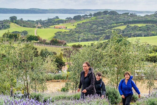 Waiheke Island Private History and Heritage Tour - Timing and getting back: return ferry by 4pm