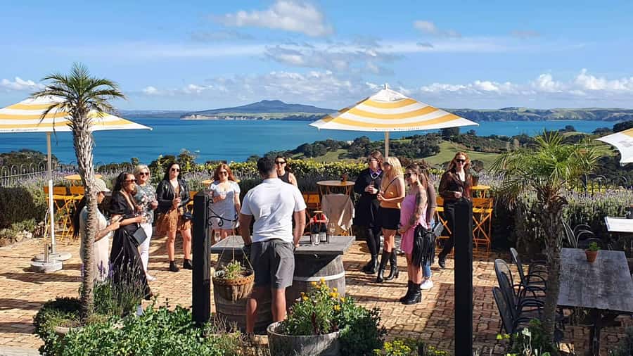 Waiheke Island: Scenic Island Wine Tour & Local Wine Tasting - Choosing the right Waiheke timing: 4-hour double-decker or 5-hour bus