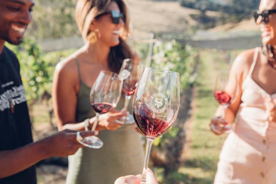 Waiheke Island: Scenic Island Wine Tour & Local Wine Tasting - Winery stops and tastings: what the day is really buying you