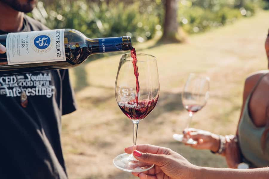 Waiheke Island: Scenic Island Wine Tour & Local Wine Tasting - Thomas Batch Vineyard: the 360-degree lunch-and-views moment