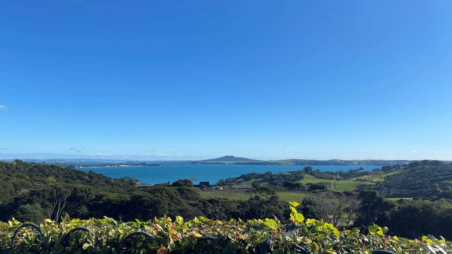 Waiheke Island: The Essence of Waiheke Wine Tour - Mudbrick Vineyard: where your tasting tour starts