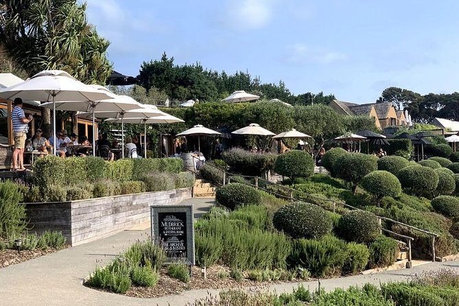 Waiheke Island Vineyards and Bush Walk - Waiheke Island Vineyards and Bush Walk: What You’re Really Signing Up For