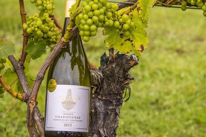 Waiheke Island Vineyards and Bush Walk - Wine Tasting Value: Is $279.26 Worth It?