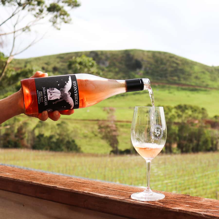 Waiheke Island: Wine Tour & Lunch at Award Winning Venue - Key things to know before you go
