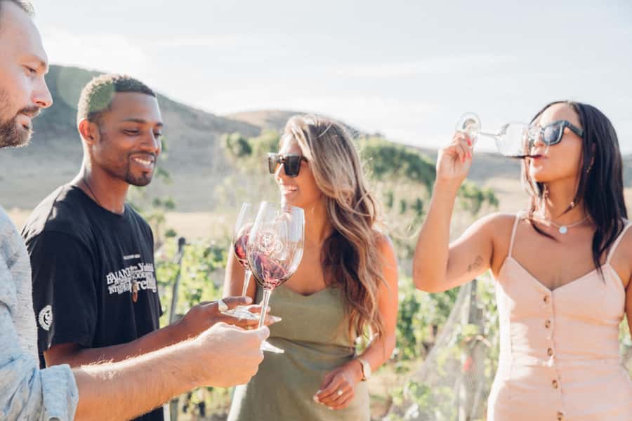 Waiheke Island: Wine Tour & Lunch at Award Winning Venue - Three boutique vineyards and what you’ll taste at each stop