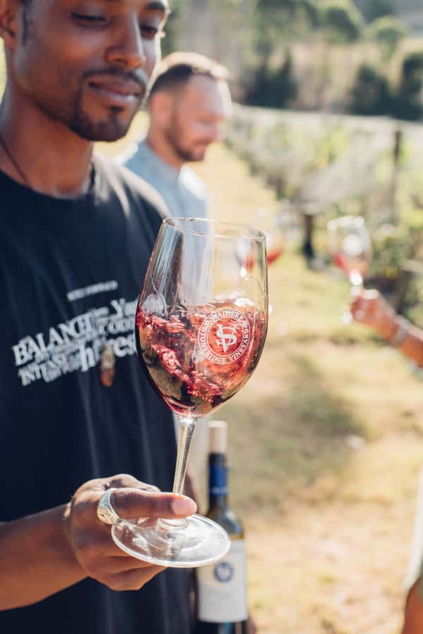 Waiheke Island: Wine Tour & Lunch at Award Winning Venue - Price and value: is $173 a fair deal?