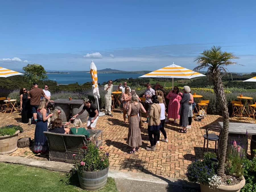 Waiheke Island: Wine Tour & Lunch at Award Winning Venue - Should you book this Waiheke Wine Tour & Lunch at 372?