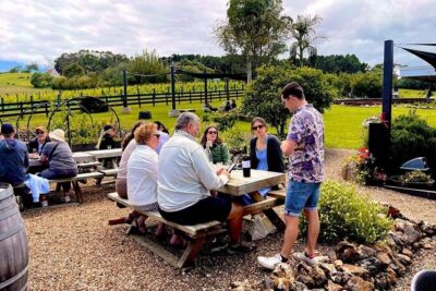 Waiheke Island Wine Tour with Scenic Vineyards & Tastings - Getting started: Matiatia ferry timing and a stress-free pickup