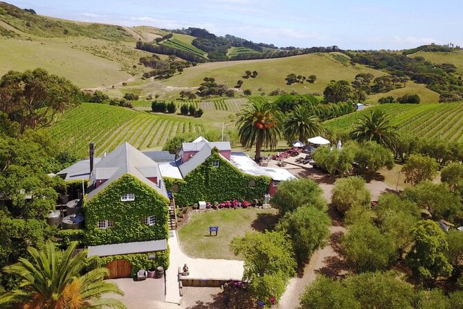 Waiheke Island Wine Tour with Tastings & Gourmet Beachfront Lunch - Stop 3: Stonyridge Vineyard (Or Postage Stamp if Timing Changes)