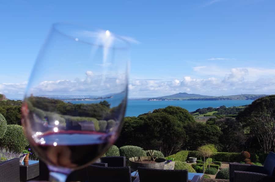 Waiheke Island Wine Tours - PREMIUM Wines - Max 11 clients ! - Who this tour is best for (and who should skip it)