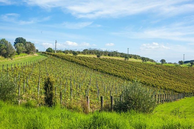 Waiheke island wine tours with Waitiki Tours - Stop 3: Mudbrick Vineyard for iconic views over Auckland and the Hauraki Gulf